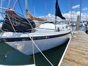 BLACK PEARL
