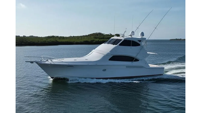 2005 BERTRAM 630 CONVERTIBLE 483401
