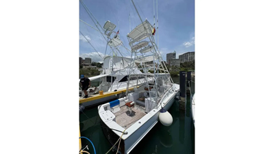 2001 PREDATOR 35 Express - photo 1