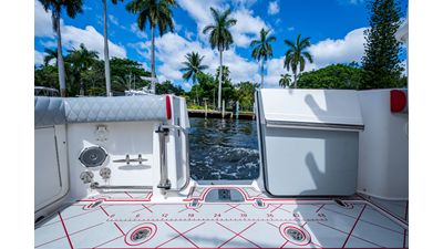 2018 BOSTON WHALER 330 - photo 11