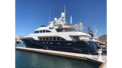 ALBATROSS 483536