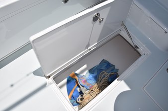 1962 BERTRAM 31 Express Cruiser - photo 26