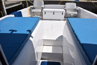 1976 BERTRAM Flybridge Cruiser - photo 35