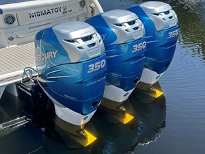 2018 FORMULA 350 BR - photo 10