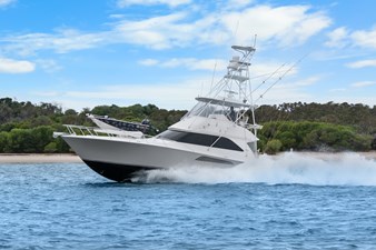 2005 VIKING  - photo 43