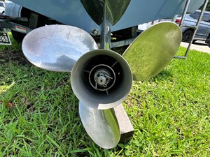 2019 COBIA  - photo 7