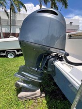 2019 COBIA  - photo 8