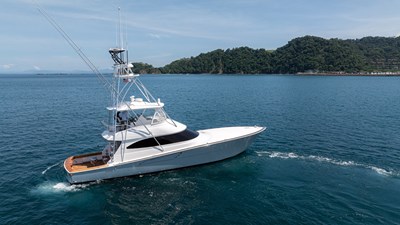 2024 VIKING  - photo 78