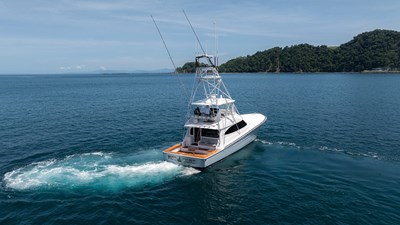 2024 VIKING  - photo 79