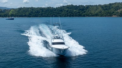 2024 VIKING  - photo 80