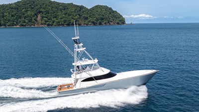 2024 VIKING  - photo 81
