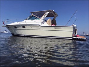 1988 TIARA YACHTS  - photo 2