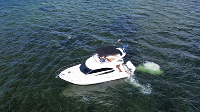 2006 MERIDIAN  - photo 1
