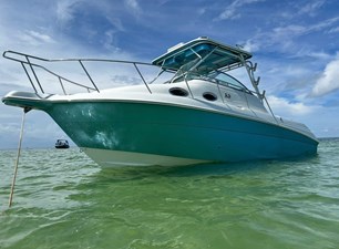 WELLCRAFT 270 COASTAL 484118