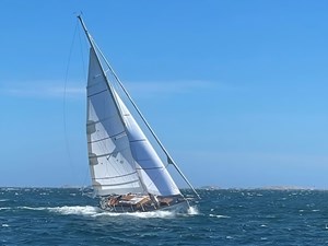 2000 BLOEMSMA VAN BREEMEN  - photo 4