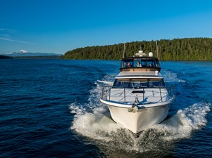 1990 OCEAN ALEXANDER 48 Sedan  - photo 9