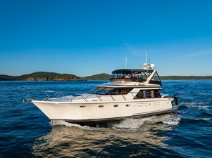 1990 OCEAN ALEXANDER 48 Sedan  - photo 3