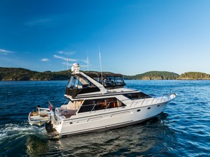 1990 OCEAN ALEXANDER 48 Sedan  - photo 13