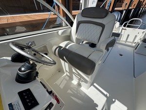 2022 WORLD CAT  - photo 6