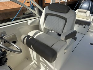 2022 WORLD CAT  - photo 7
