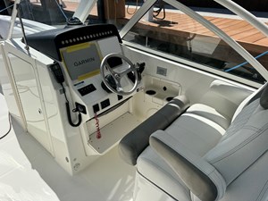 2022 WORLD CAT  - photo 9