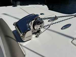 2022 WORLD CAT  - photo 12