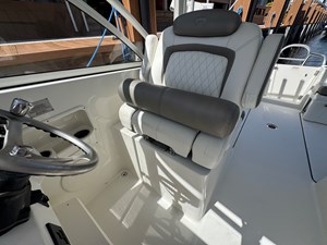 2022 WORLD CAT  - photo 26