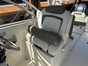 2022 WORLD CAT  - photo 27