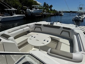 2022 WORLD CAT  - photo 29