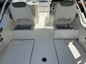 2022 WORLD CAT  - photo 33