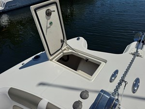 2022 WORLD CAT  - photo 37
