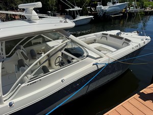 2022 WORLD CAT  - photo 43