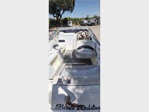 2009 CHAPARRAL  - photo 9