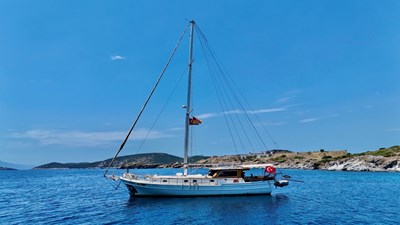 N/A 484851