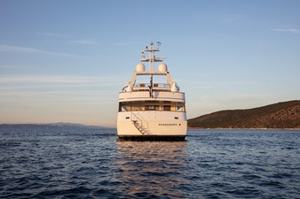 1989 FEADSHIP  - photo 4