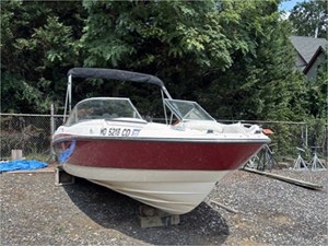 21' BAYLINER 2011 215