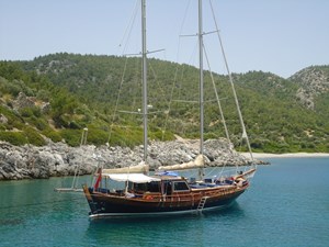 TRIPPIN