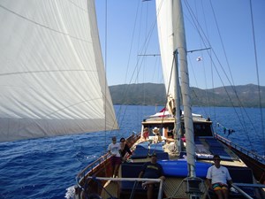 2007 CUSTOM MADE  - photo 7