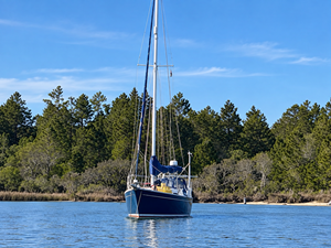 THALASSA 485201