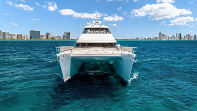 2000 CUSTOM Power Catamaran - photo 6