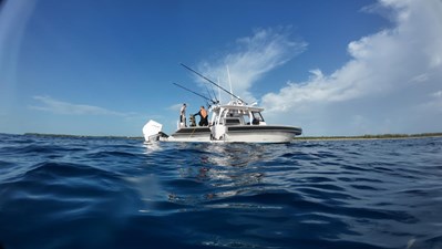 2017 NORDHAVN 96 - photo 104