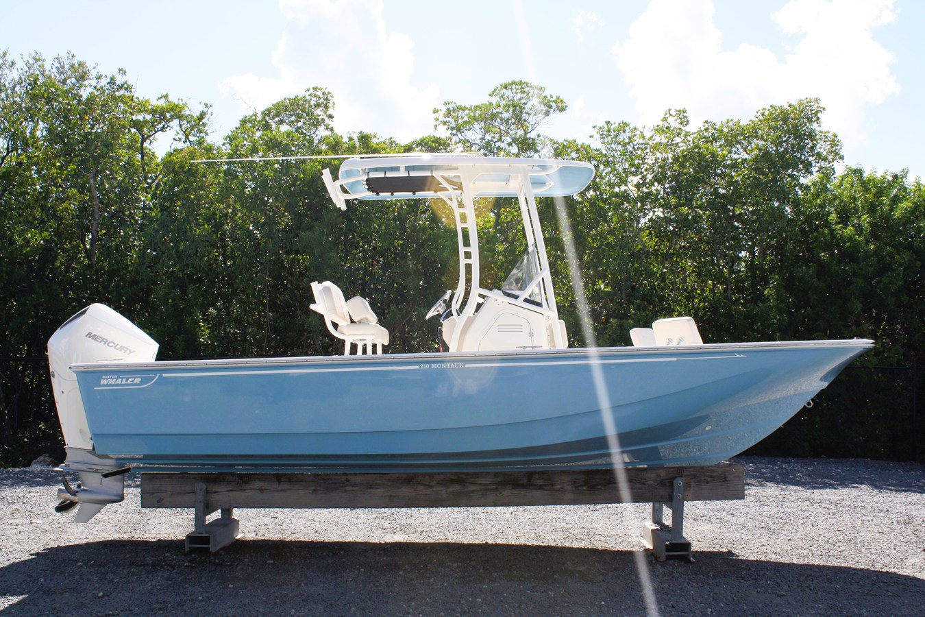 BOSTON WHALER 210 MONTAUK, photo 4
