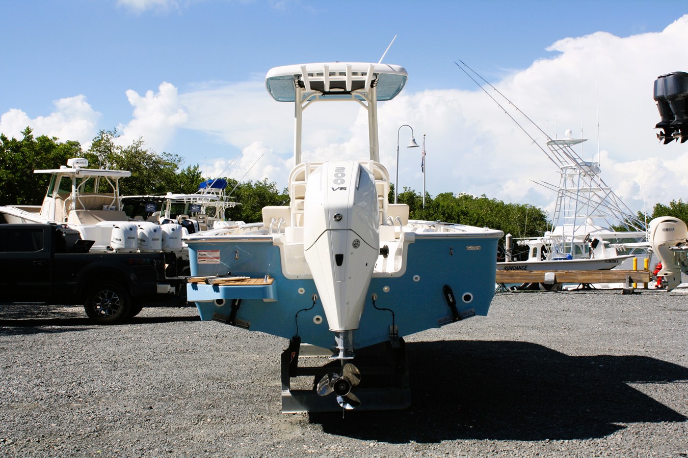 BOSTON WHALER 210 MONTAUK, photo 6