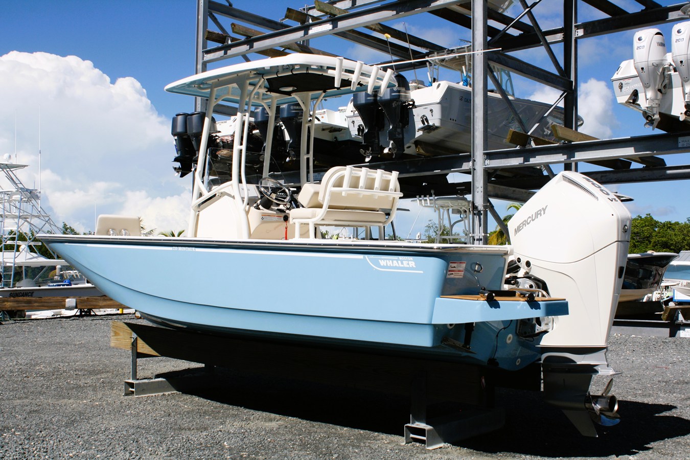 BOSTON WHALER 210 MONTAUK, photo 7