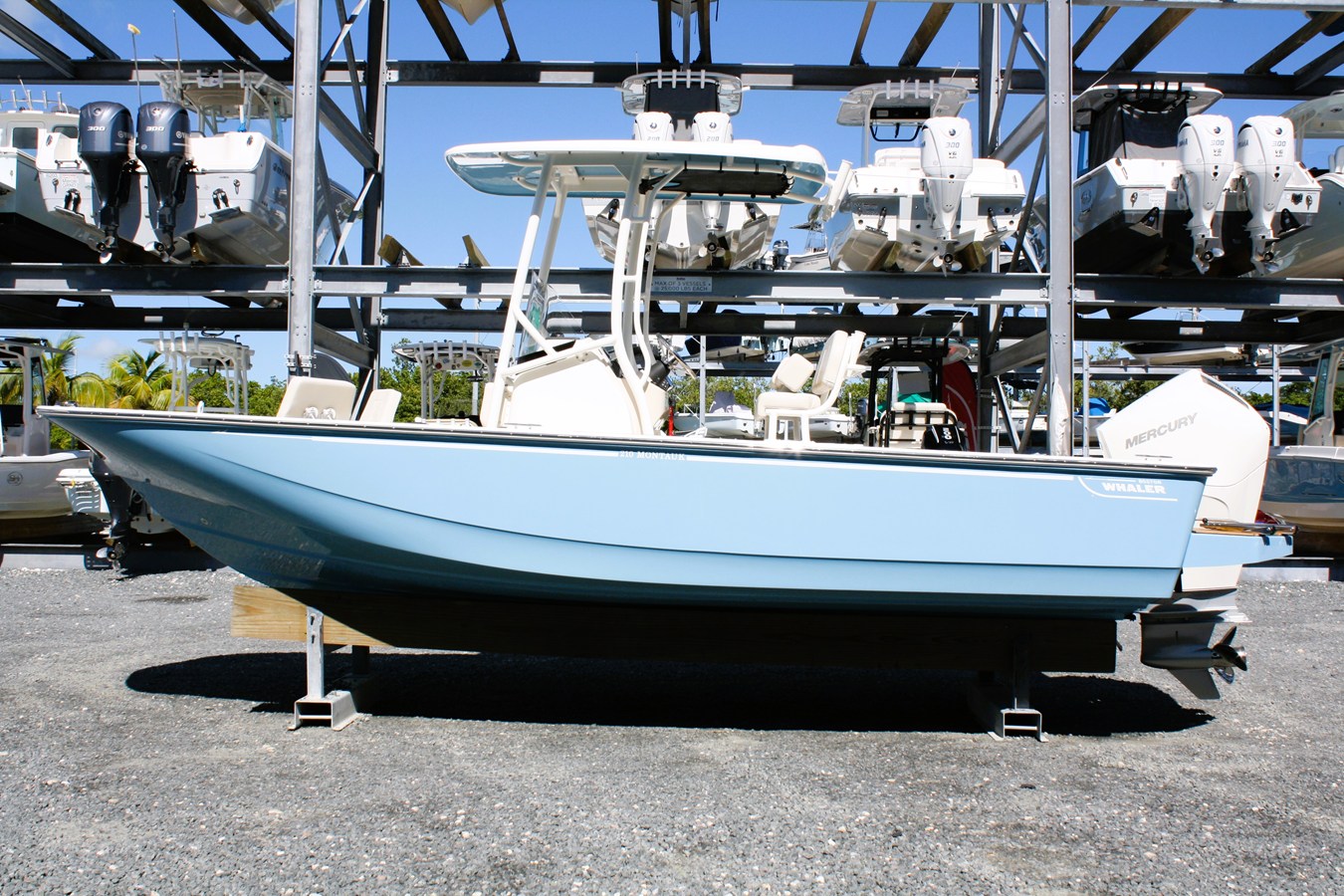 BOSTON WHALER 210 MONTAUK, photo 8