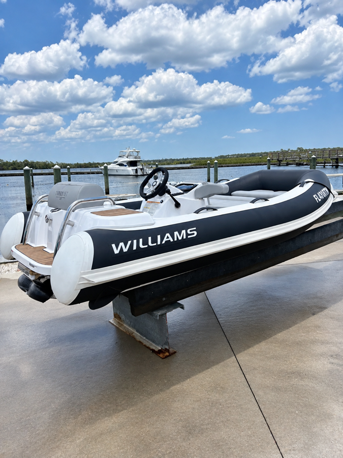 Williams Jet Tenders 325 TURBOJET — 2024 Williams Jet Tenders 325 Turbojet — fotoğraf 2