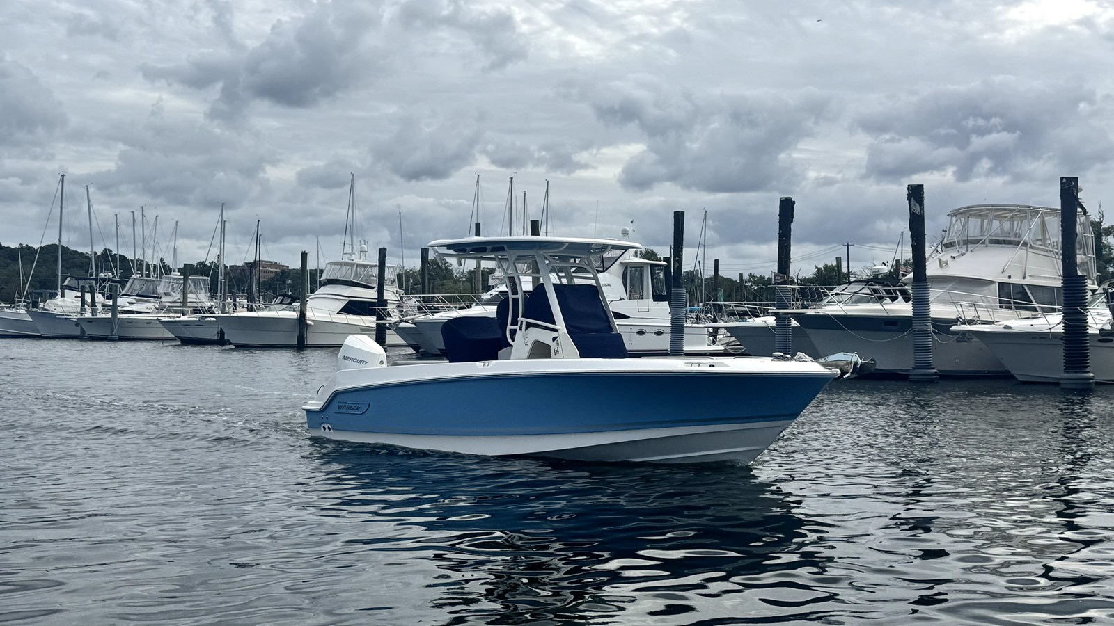 BOSTON WHALER 230 OUTRAGE, photo 3
