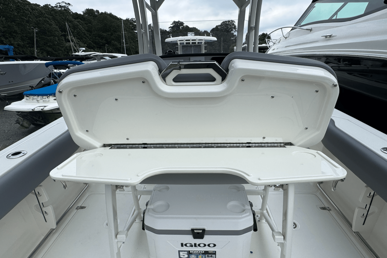 BOSTON WHALER 230 OUTRAGE, photo 21