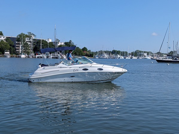 SEA RAY 240 SUNDANCER