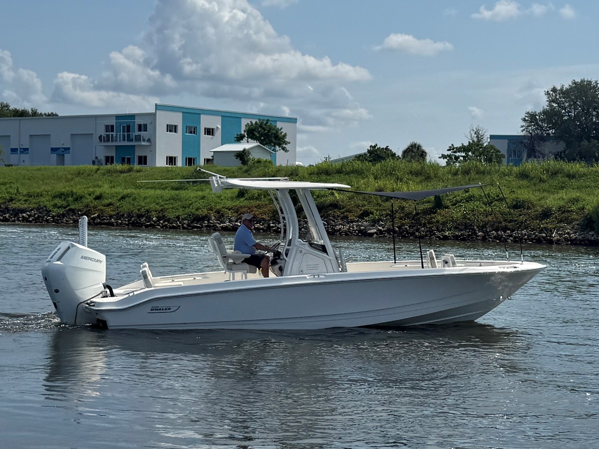 BOSTON WHALER 250 DAUNTLESS, photo 2